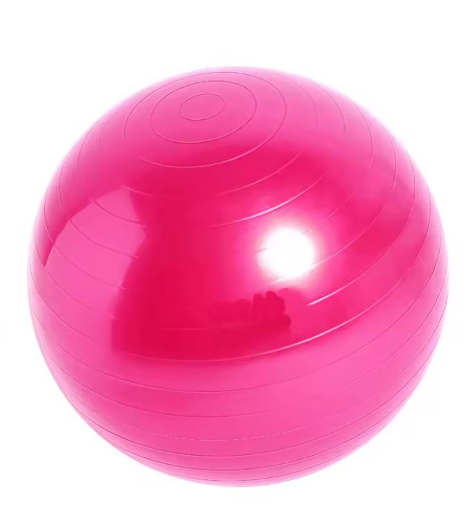 SwissBall / Ballon de Gym - De 45 à 75cm